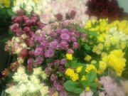 「井上園芸店」　（愛知県名古屋市北区）の花屋店舗写真4