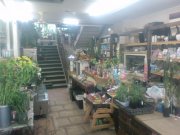 「井上園芸店」　（愛知県名古屋市北区）の花屋店舗写真2